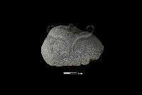 石片器藏品圖，第2張