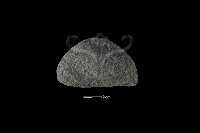 石片器藏品圖，第1張