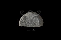 石片器藏品圖，第2張