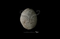 石鎚藏品圖，第3張