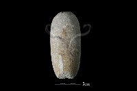 石鎚藏品圖，第2張