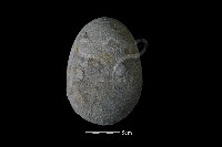 石鎚藏品圖，第2張