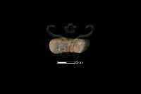 砥石藏品圖，第2張