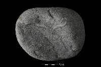 砥石藏品圖，第1張