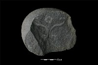 石核藏品圖，第1張