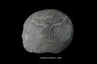 石核藏品圖，第2張