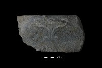 石杵藏品圖，第2張