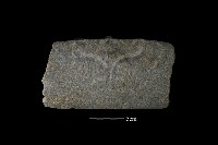 石杵藏品圖，第2張