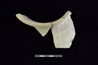 陶罐藏品圖，第2張