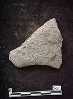 陶片藏品圖，第1張