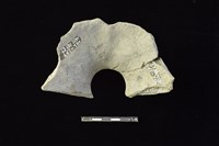 陶片藏品圖，第2張