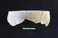 陶缽藏品圖，第2張