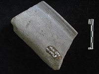 陶片藏品圖，第2張