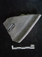 陶片藏品圖，第2張