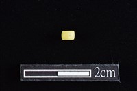 玻璃珠藏品圖，第2張