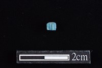 玻璃珠藏品圖，第1張