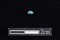 玻璃珠藏品圖，第2張