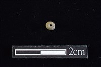 陶珠藏品圖，第2張