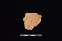 陶片藏品圖，第2張