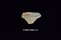 陶片藏品圖，第1張