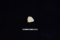 陶片藏品圖，第1張