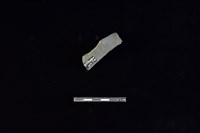 陶片藏品圖，第2張