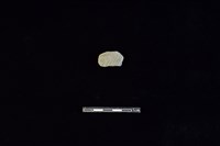 陶片藏品圖，第1張