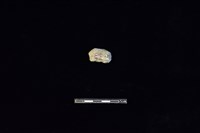 陶片藏品圖，第2張