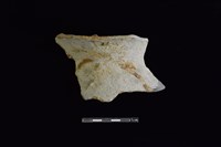 陶罐藏品圖，第1張