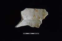 陶罐藏品圖，第2張