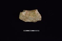 陶片藏品圖，第2張