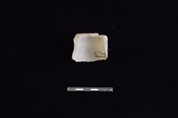 陶片藏品圖，第2張