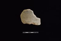 陶片藏品圖，第1張