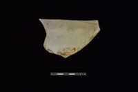 陶罐藏品圖，第2張