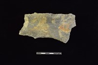 陶片藏品圖，第1張