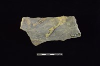 陶片藏品圖，第2張