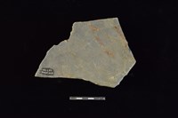 陶片藏品圖，第2張