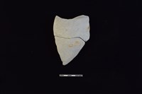 陶片藏品圖，第1張