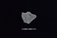 陶蓋鈕藏品圖，第2張