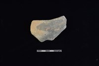 陶片藏品圖，第1張