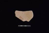 陶片藏品圖，第2張