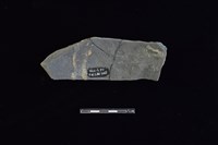 陶片藏品圖，第2張