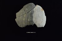 陶片藏品圖，第1張