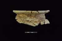 陶罐藏品圖，第1張