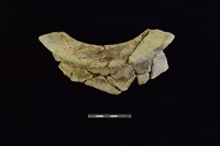 陶罐藏品圖，第2張