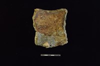 陶罐藏品圖，第2張