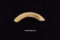 陶罐藏品圖，第2張