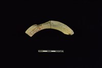 陶罐藏品圖，第2張