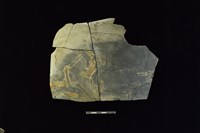 陶片藏品圖，第1張