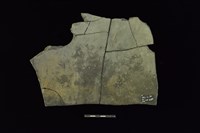 陶片藏品圖，第2張